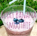Berry Banana Smoothie - Double Knotted Apron