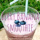 Berry Banana Smoothie - Double Knotted Apron