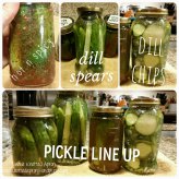 Homemade Pickles - Double Knotted Apron