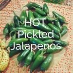 Hot Pickled Jalapenos - Double Knotted Apron